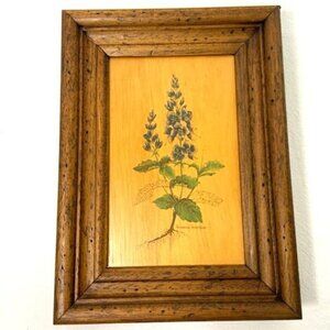 Vtg Flower Art on Board Veronica Teocrium Crater Lake Blue Saw-Leaved Speedwell